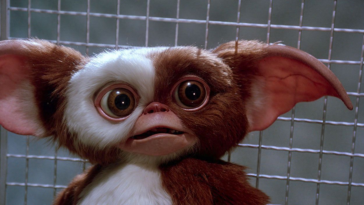 gizmo-screen-grab-web-01-de0c6be2-1500.jpg